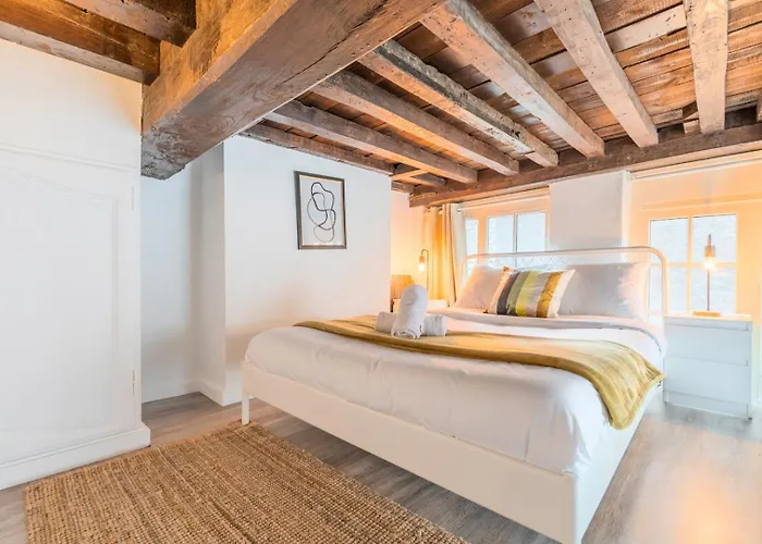 Atypical Triplex Near Grand Place With Terrace Lille